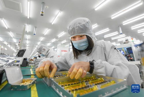 靠譜服務驅動技術創新，標準引領未來——一家光通信企業的出海秘籍